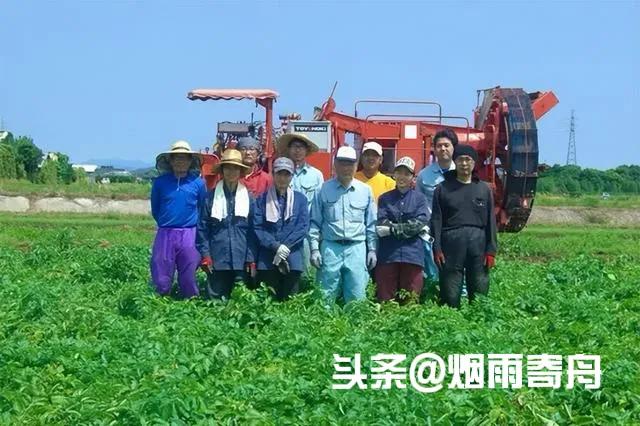 日本农业荒芜中国投资_日本中国农场新农人_中国有机农业第一人