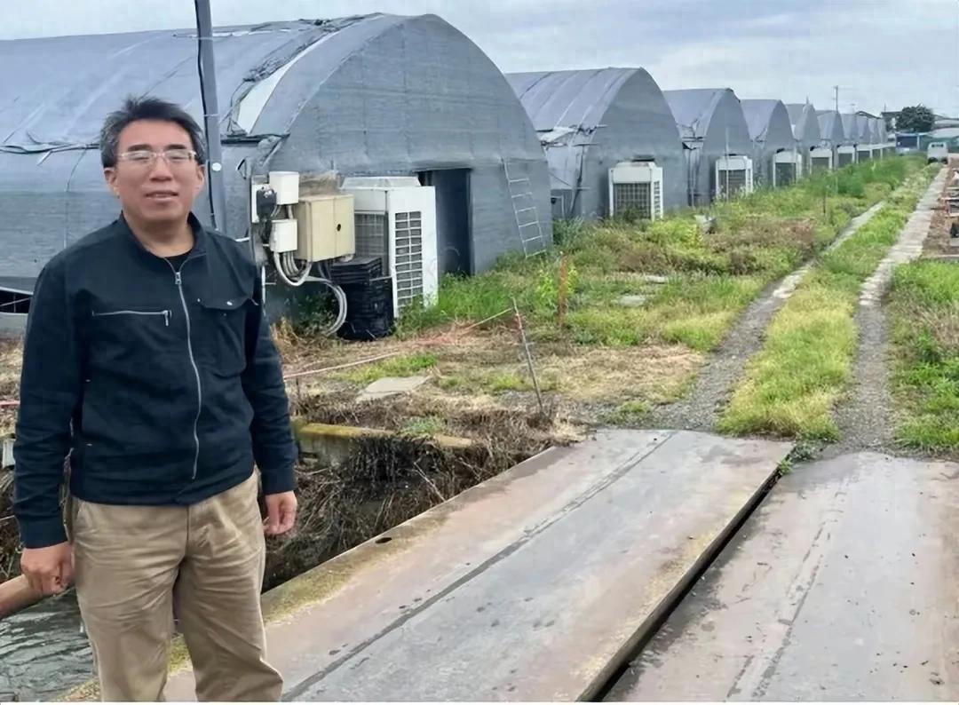 中国有机农业第一人_日本中国蔬菜种植农场_日本农业外来投资者