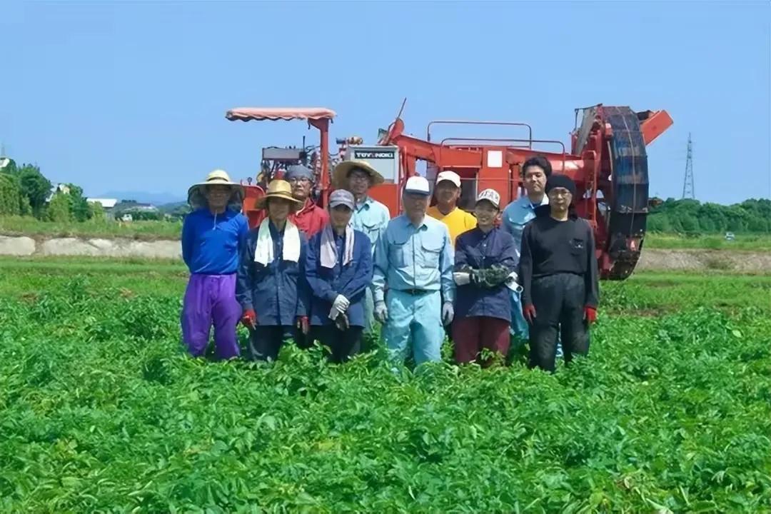 日本中国蔬菜种植农场_日本农业外来投资者_中国有机农业第一人