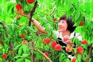 有机农业特点_生态农业优势_什么是有机农业