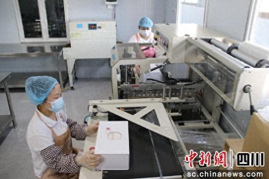 西充有机农业产业园区_有机农业上市公司_西充有机农产品精深加工