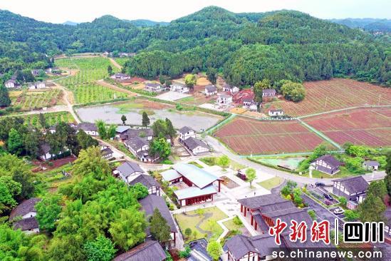 西充有机农产品精深加工_有机农业上市公司_西充有机农业产业园区