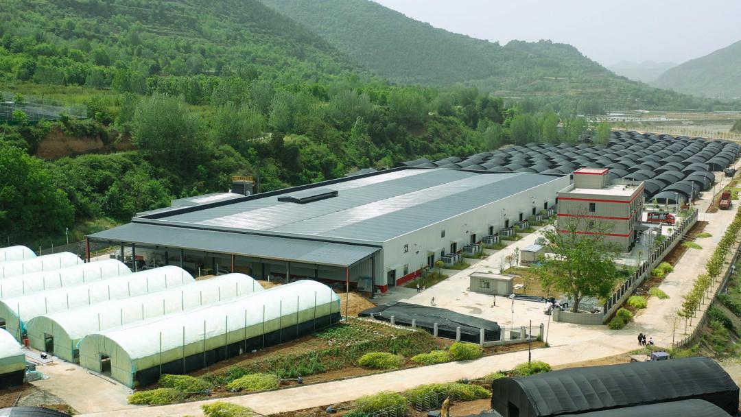 两当县全域有机农业发展_我国有机种植的政策_两当县有机产业政策扶持方案