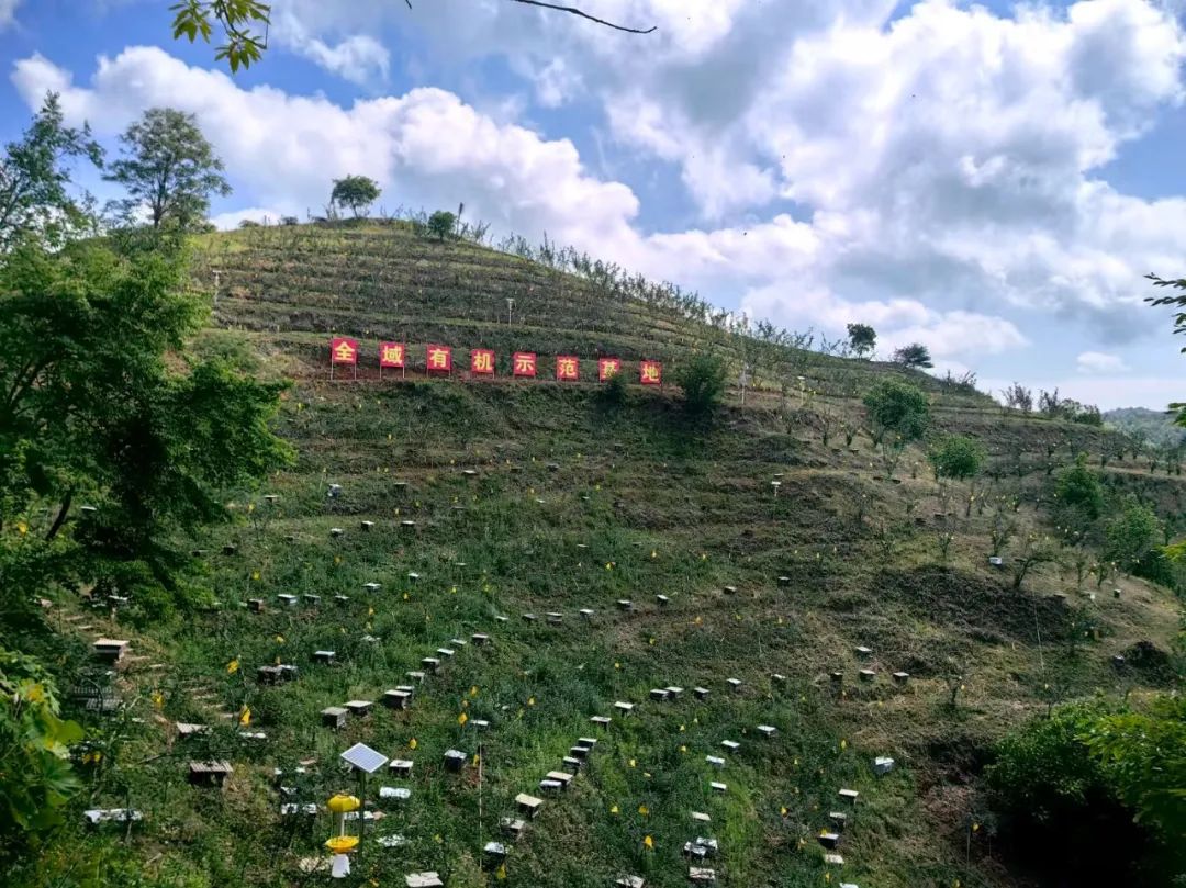 两当县有机产业政策扶持方案_我国有机种植的政策_两当县全域有机农业发展