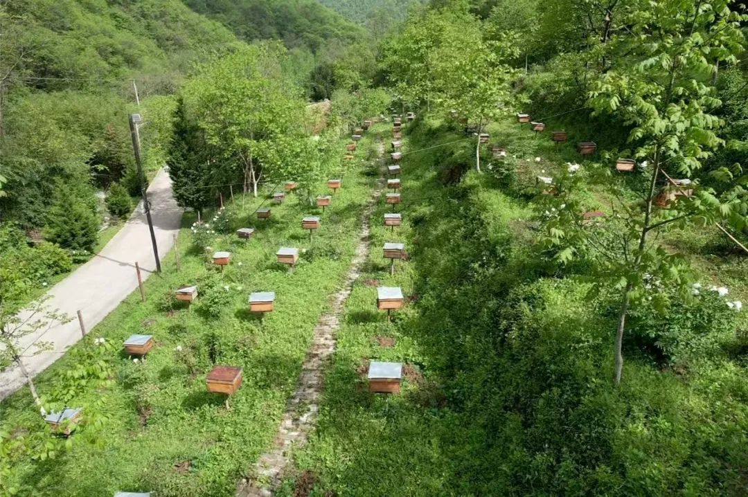 我国有机种植的政策_两当县全域有机农业发展_两当县有机产业政策扶持方案