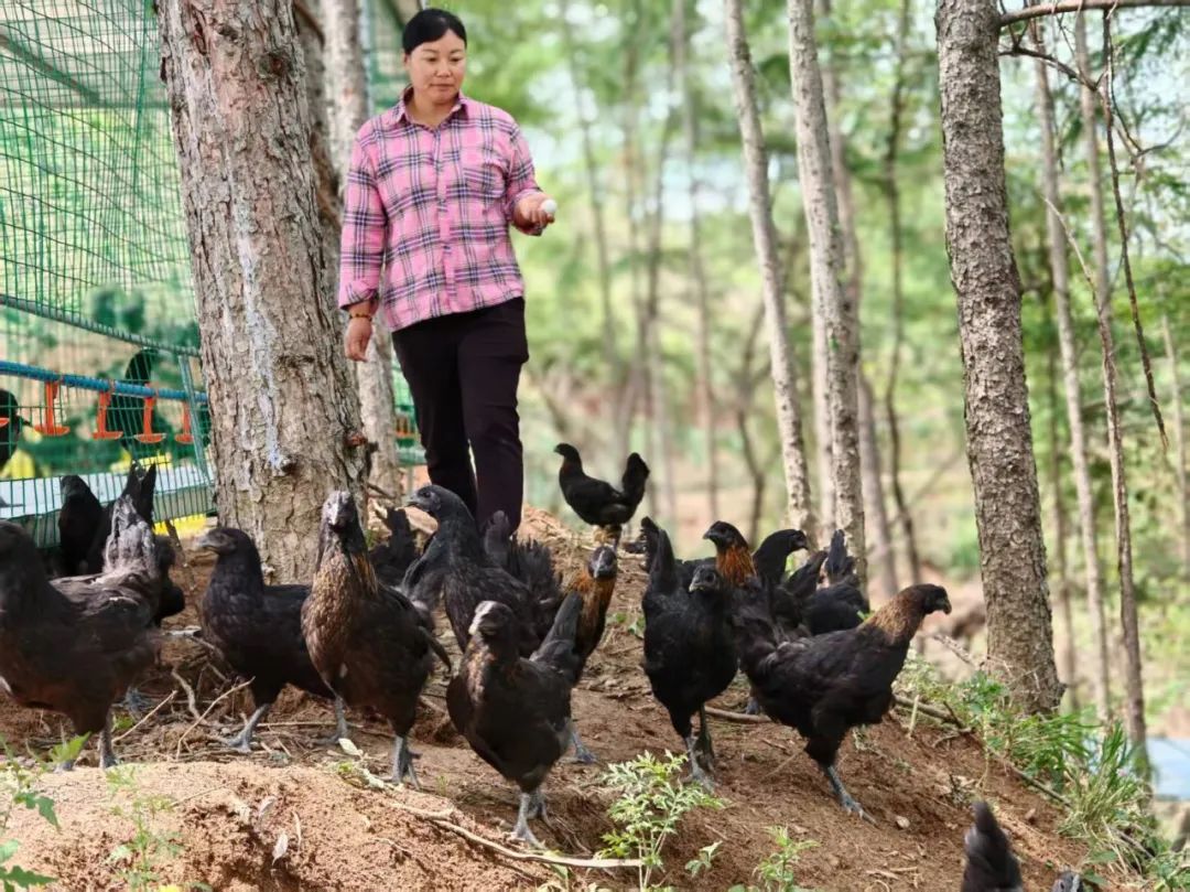 我国有机种植的政策_两当县全域有机农业发展_两当县有机产业政策扶持方案