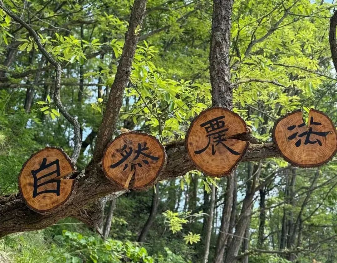 两当县全域有机农业发展_我国有机种植的政策_两当县有机产业政策扶持方案