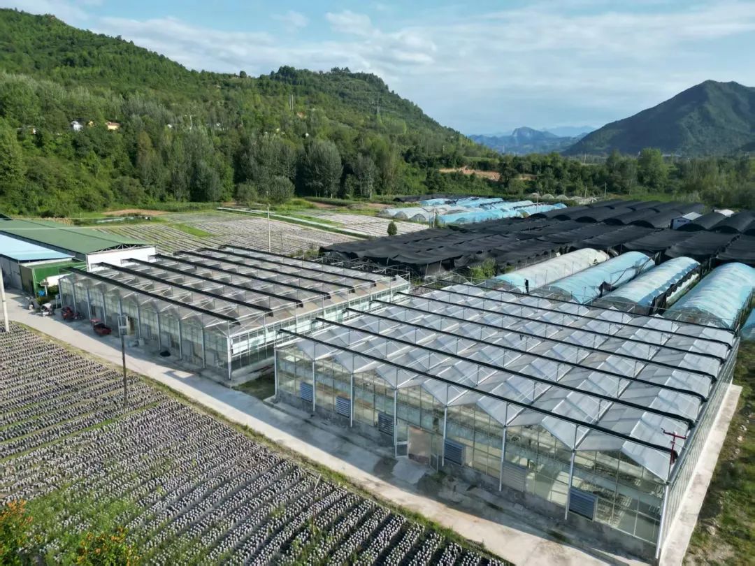 两当县全域有机农业发展_我国有机种植的政策_两当县有机产业政策扶持方案