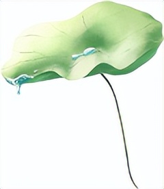 我国有机种植的政策_两当县全域有机农业发展_两当县有机产业政策扶持方案