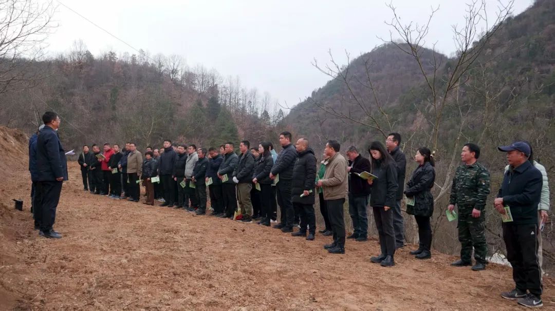 两当县有机产业政策扶持方案_我国有机种植的政策_两当县全域有机农业发展