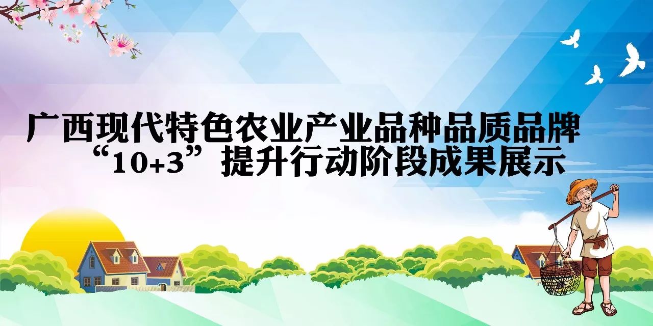 2015 年广西推动农业方案实施，有机循环农业产业成效显著？