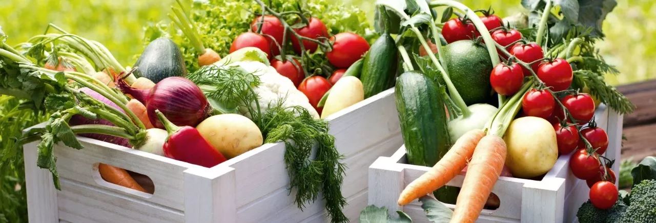 什么是有机农业_有机循环农业产业建设_广西现代特色农业产业品种品质品牌“10+3”提升行动方案