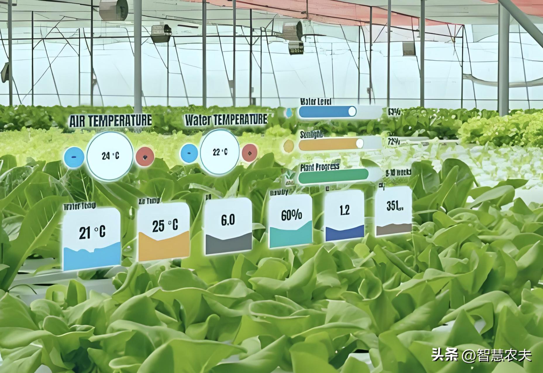 我国有机种植的政策_智能温室无土栽培智慧农业
